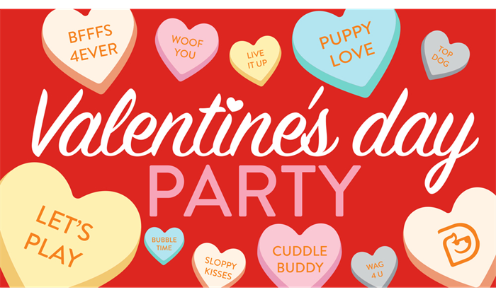 Valentine's Day Party & Cookie Decorating!